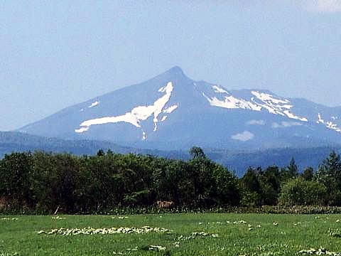 3e3d263608c62deae69bec8f62116ce44cf77791.69.2.9.2