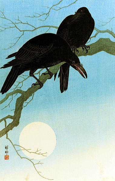 小原古邨　月夜の烏