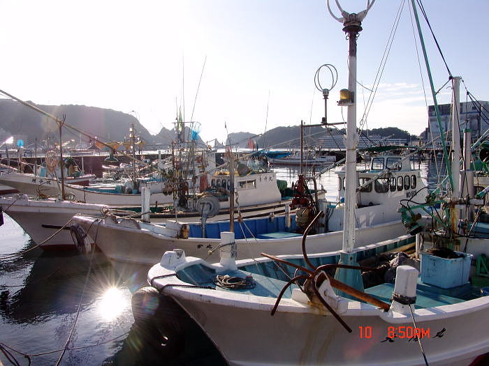dsc00032.jpg