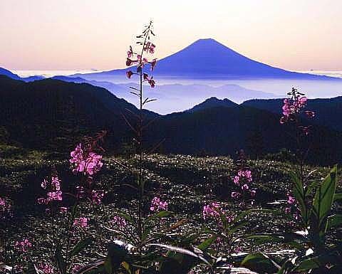 3030570 山伏岳から