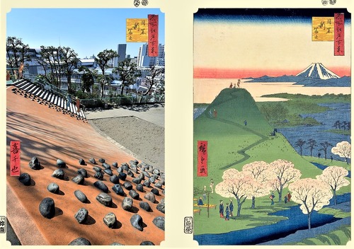 目黒新富士　正