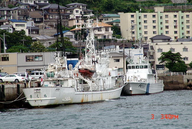 dsc05319.jpg