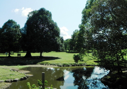 DSCN5289