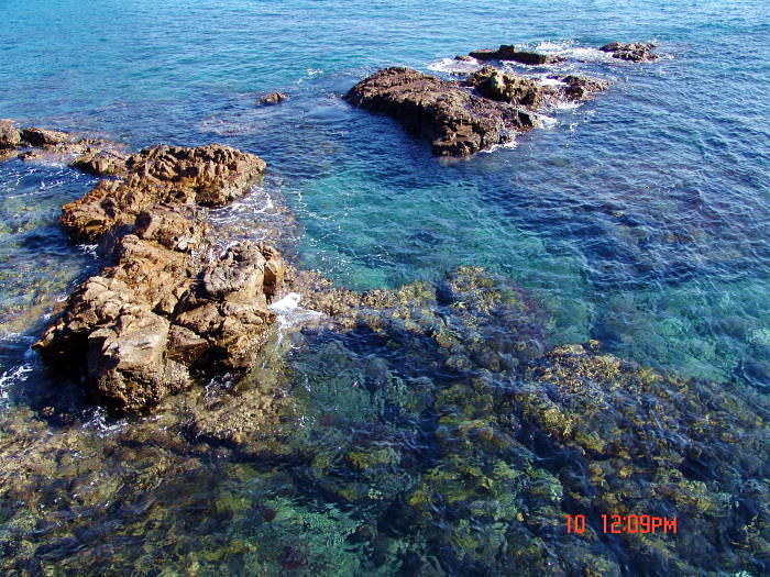 dsc00006.jpg