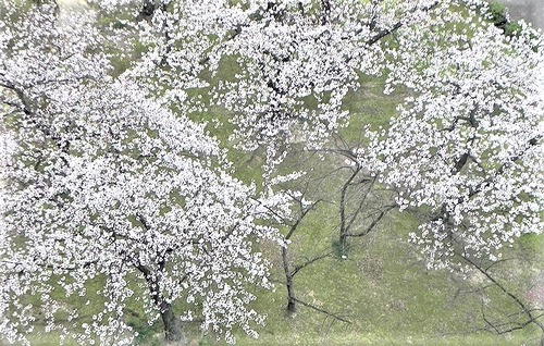 DSCN0144