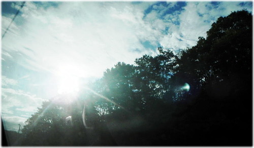 DSCN3093