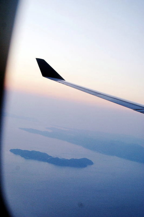 DSC05176 - コピー