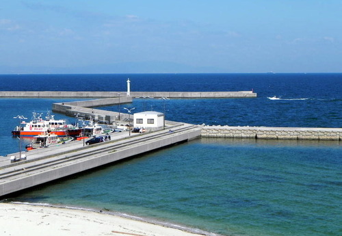 DSCN5474 - コピー