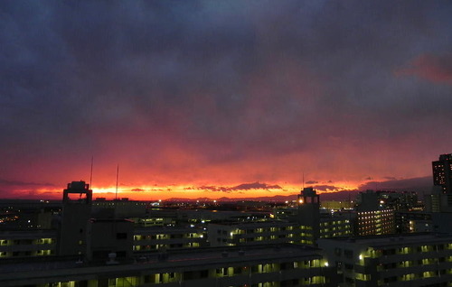 DSCN6518 - コピー