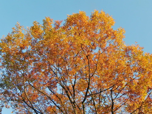 DSCN9852
