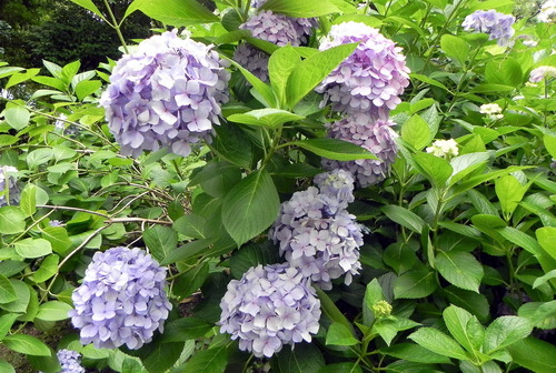 DSCN1462