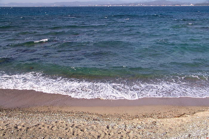 dsc00051.jpg