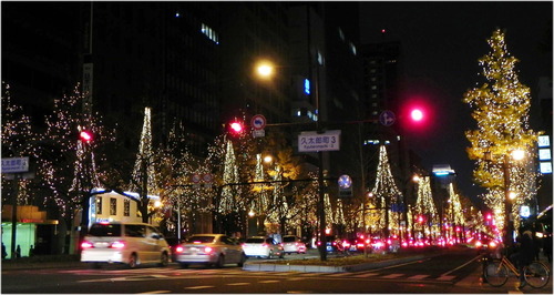 DSCN6552