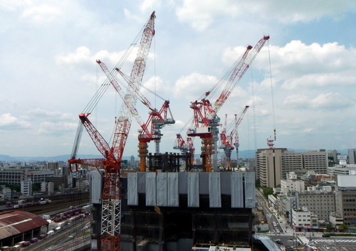 DSCN7349
