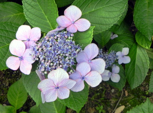 DSCN1430