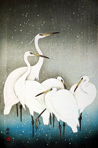 小原古邨　雪中群鷺