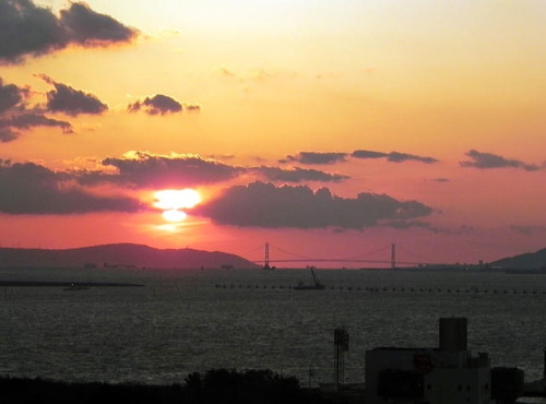 DSCN9184-1000