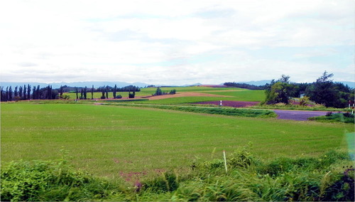 DSCN9133 - コピー