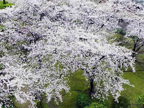 DSCN8044