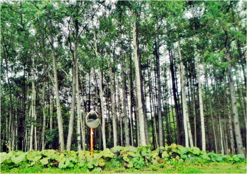 DSCN9073