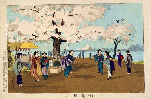 小林清親　向島桜　大