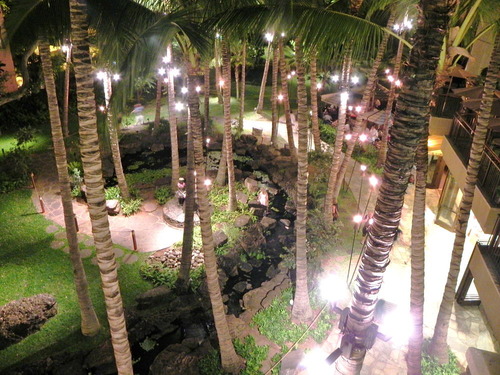 DSCN8078-1000
