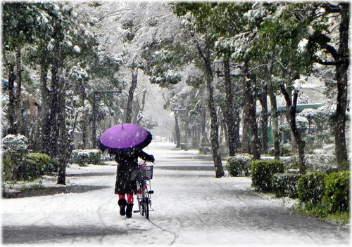 DSCN9144 - コピー