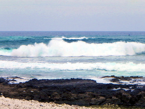 DSCN0204