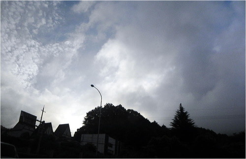 DSCN3044
