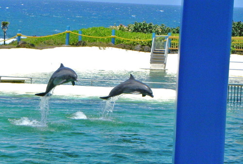 DSCN8363-1000