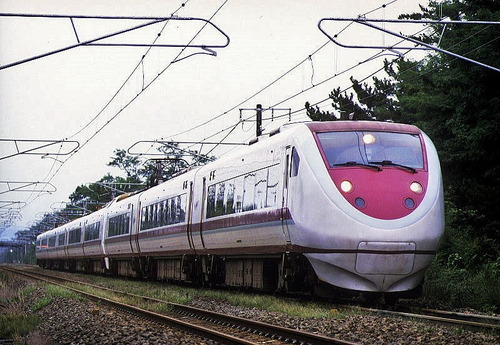 Hakuraka　 スノーラビット