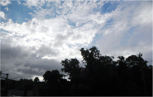 DSCN3071