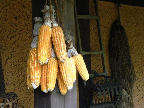 220-1000