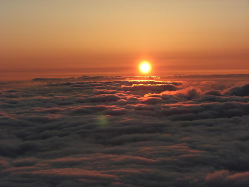 542494_155339091257216_1453654517_n