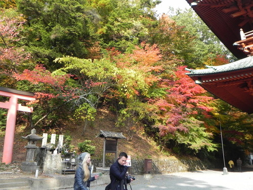 DSCN6733