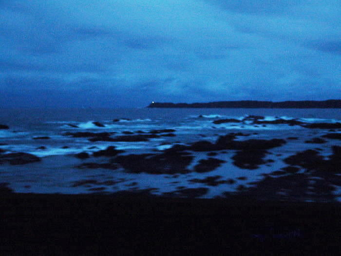 dsc09985.jpg