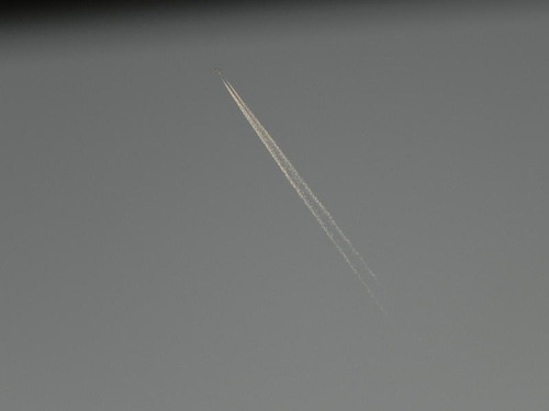 DSCN7155