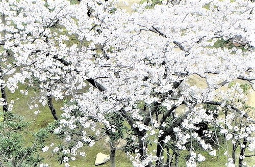 DSCN0123