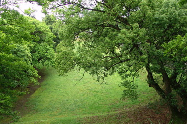 dsc05233.jpg
