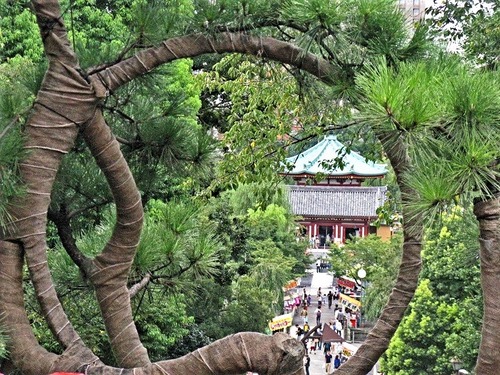 上野清水堂不忍池　２