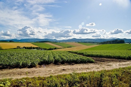 439-5089 - コピー