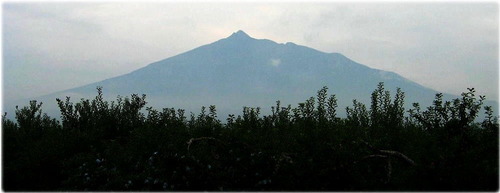 28662694 - コピー