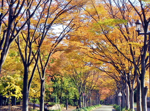 DSCN9862