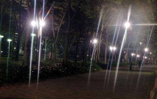 DSCN7493　南港夜景