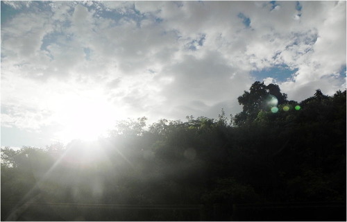 DSCN3081