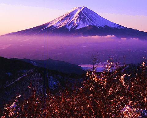 3029195 八丁山から