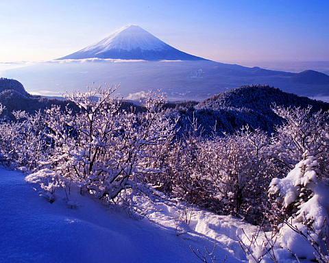 3029274 節乃ケ岳から