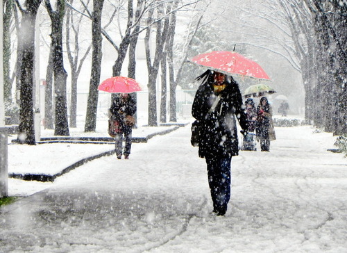 DSCN9135 - コピー