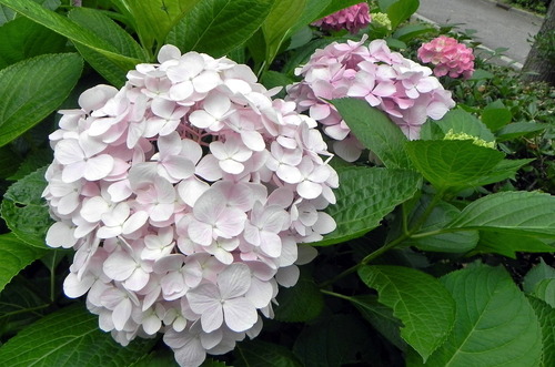 DSCN1457