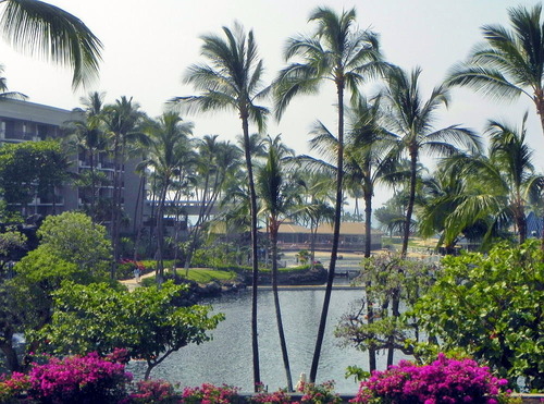 DSCN0137